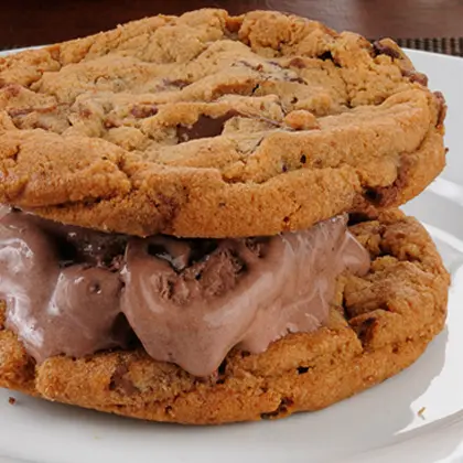 Thick and Chewy Chocolate Chip Icecream Cookies