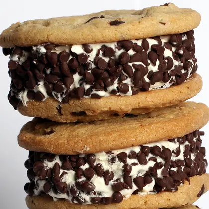 Chocolate Chip Ice Cream Sandwich