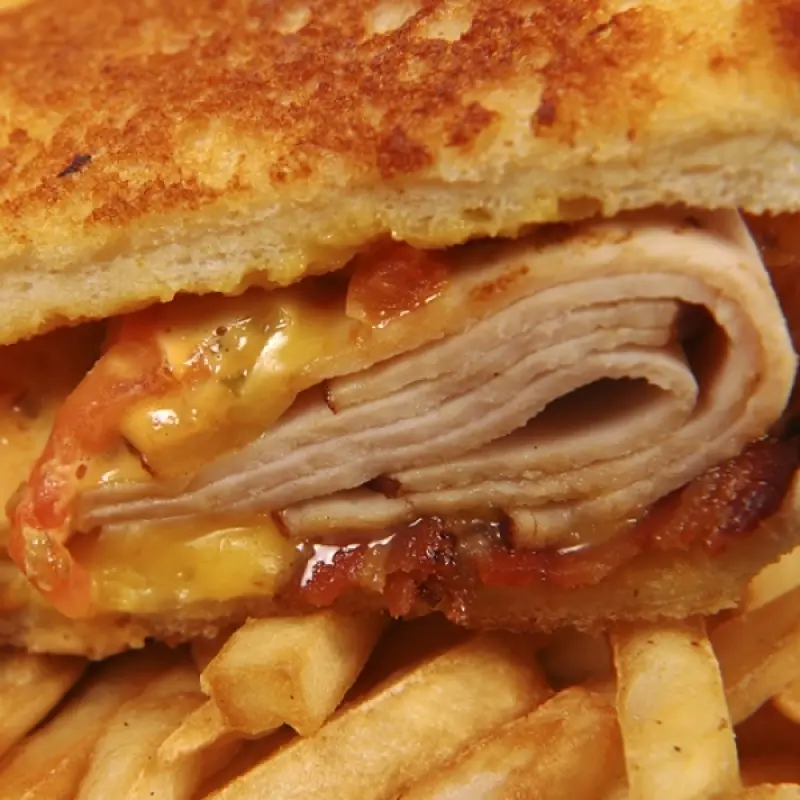 Cheesy Turkey Melt Sandwich
