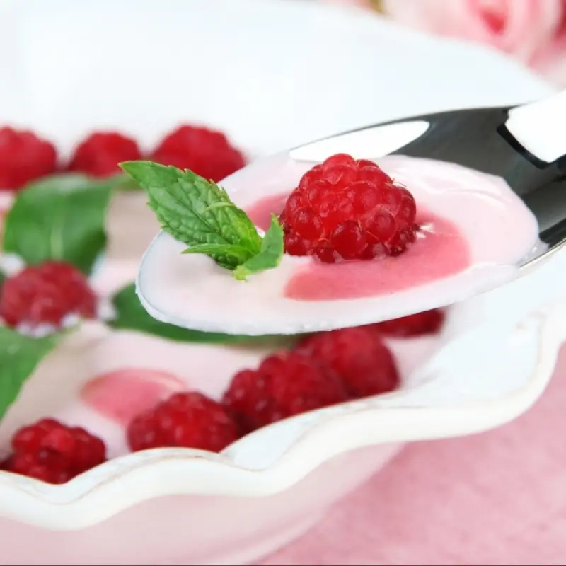 Cool Yogurt Delight