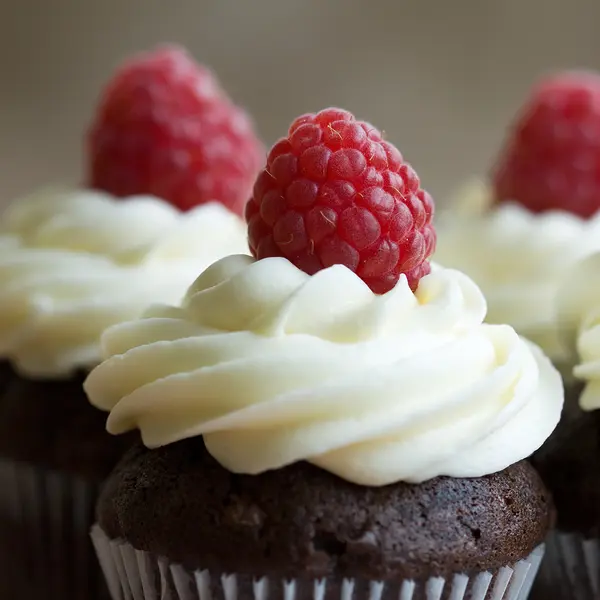Extreme Chocolate Cupcakes With White Chocolate Frosting