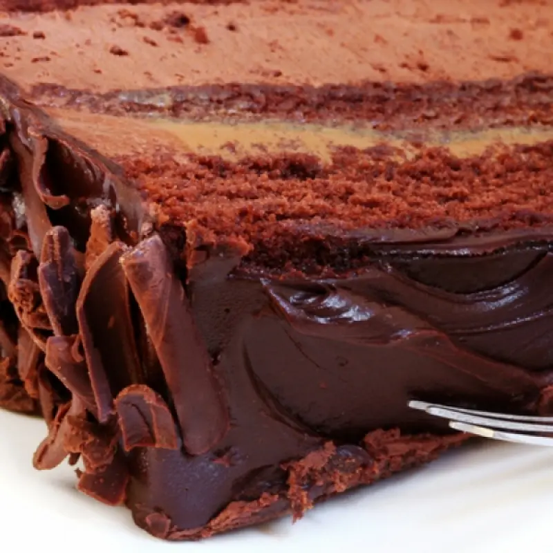 Peanut Butter Chocolate Ice Cream Cake
