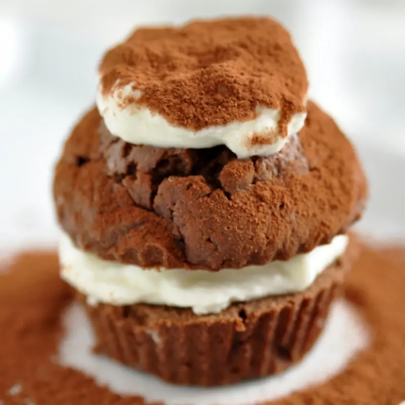 Cocoa Pumpkin Muffins