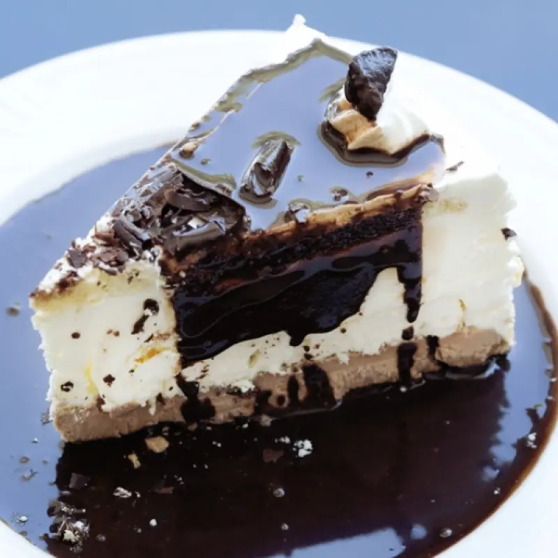 No Bake Honey Yogurt Cheesecake