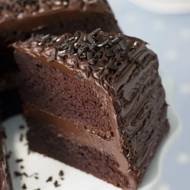 Double Layer Chocolate Dream Cake