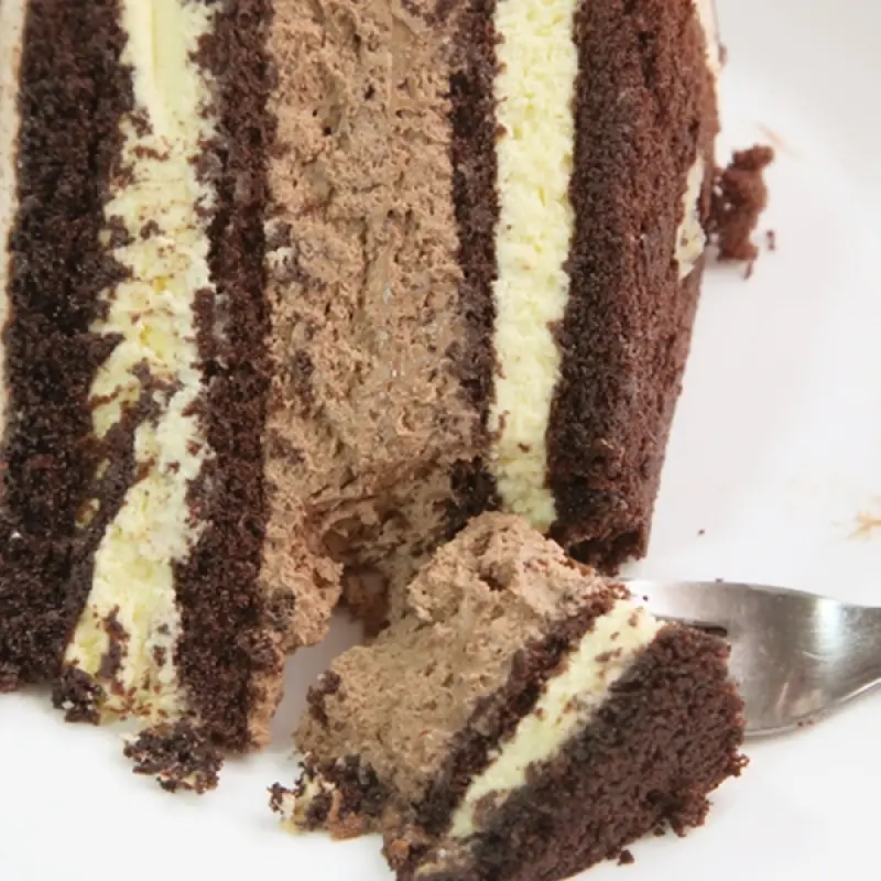Chocolate Layered Mousse Dessert