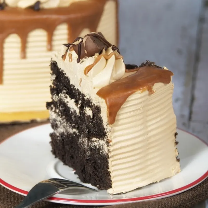Chocolate Caramel Cream Cake