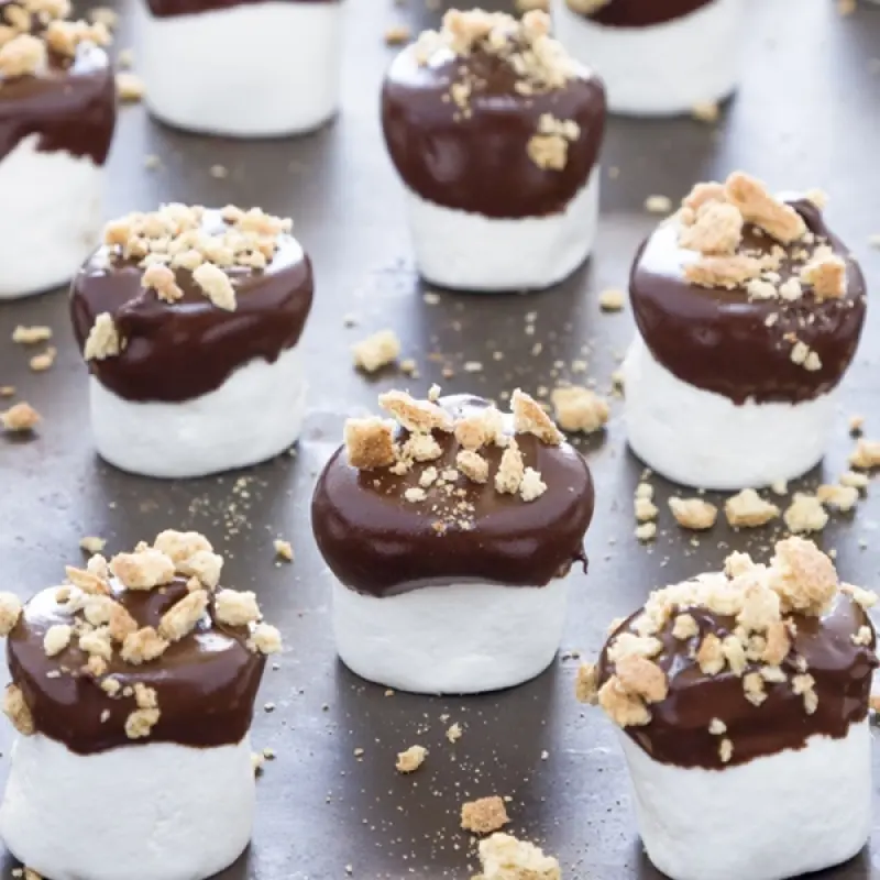 Chocolate Dipped Marshmallow Smore