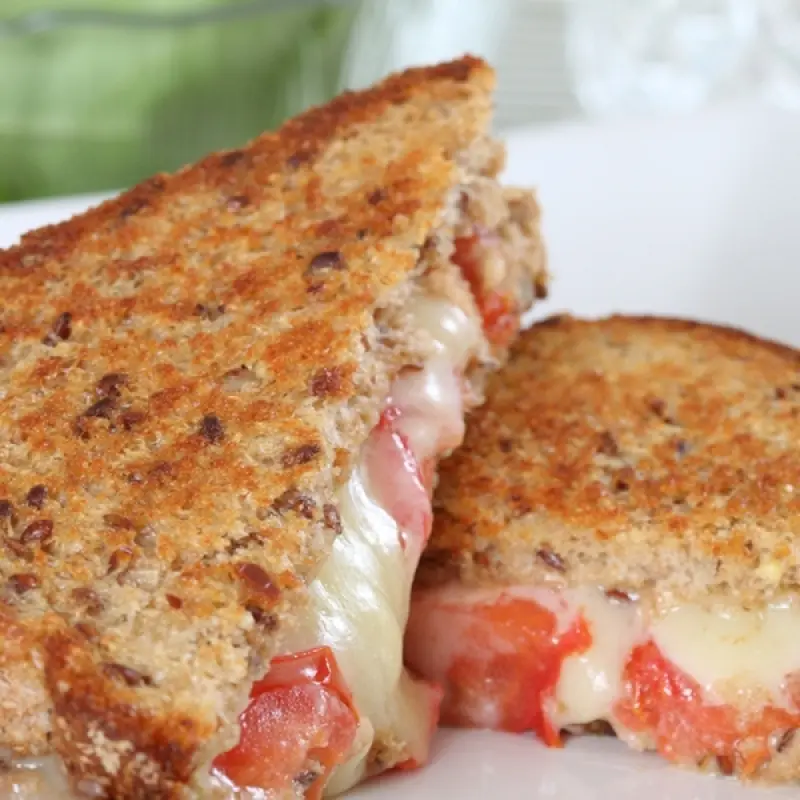 Grilled Cheese and Tomato Grain Bread Sandwich