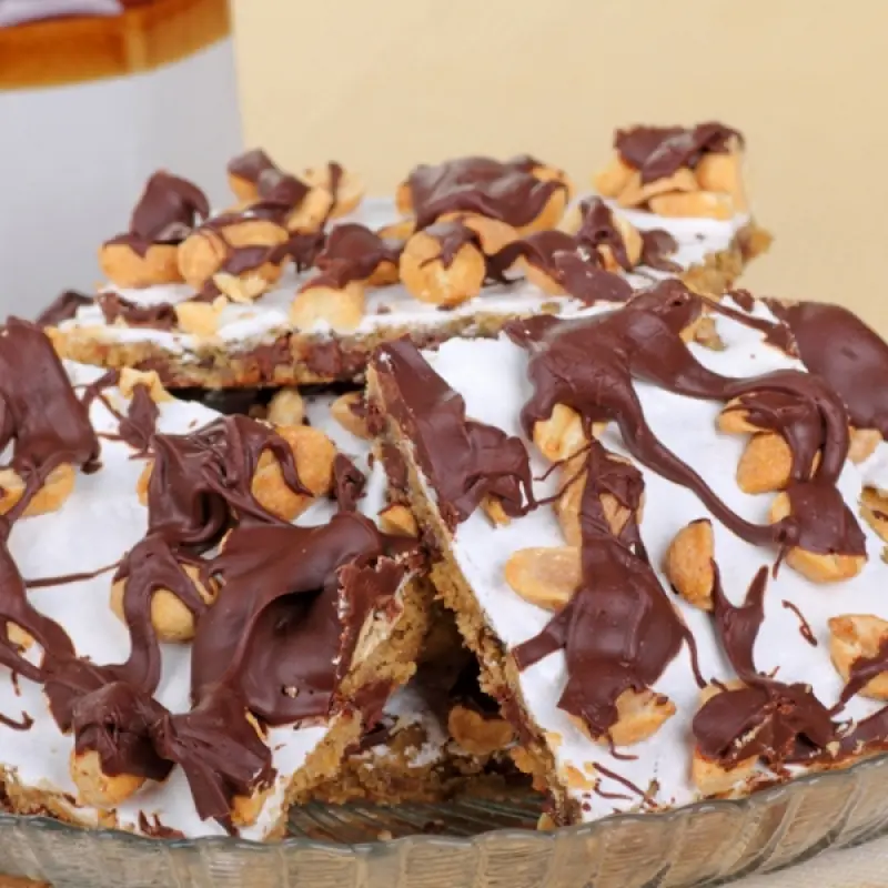 Chocolate Chip Squares