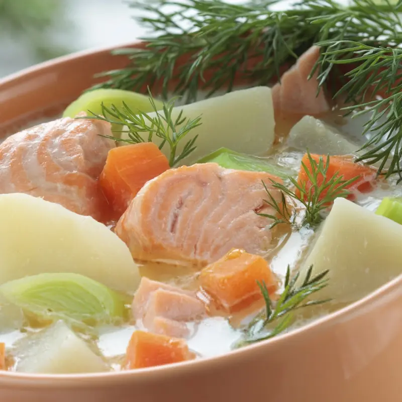 Salmon Soup