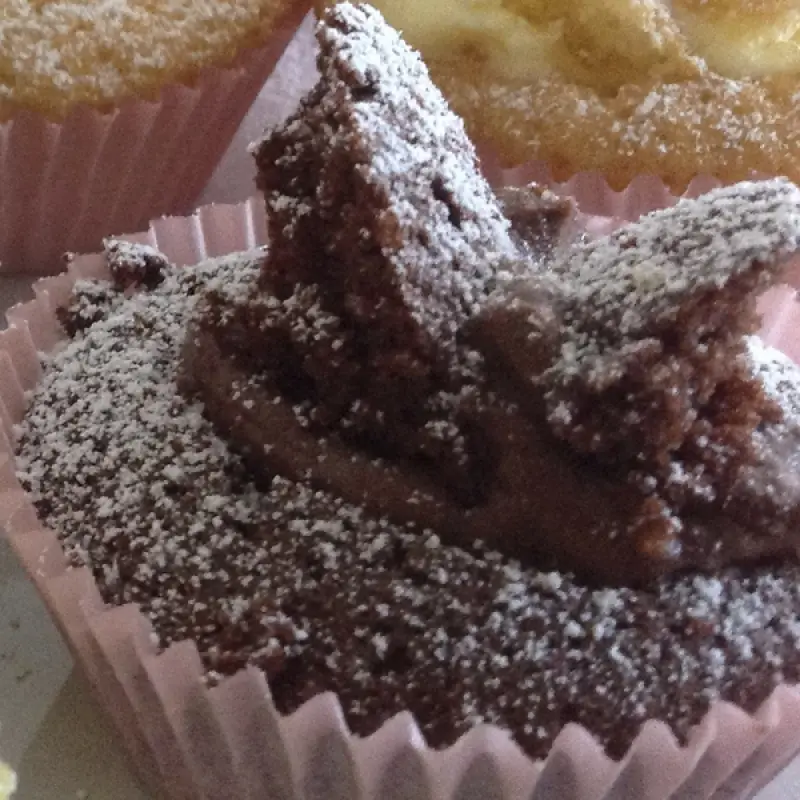 Chocolate Butterfly Cupcakes