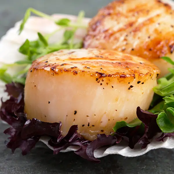 Seared Scallops