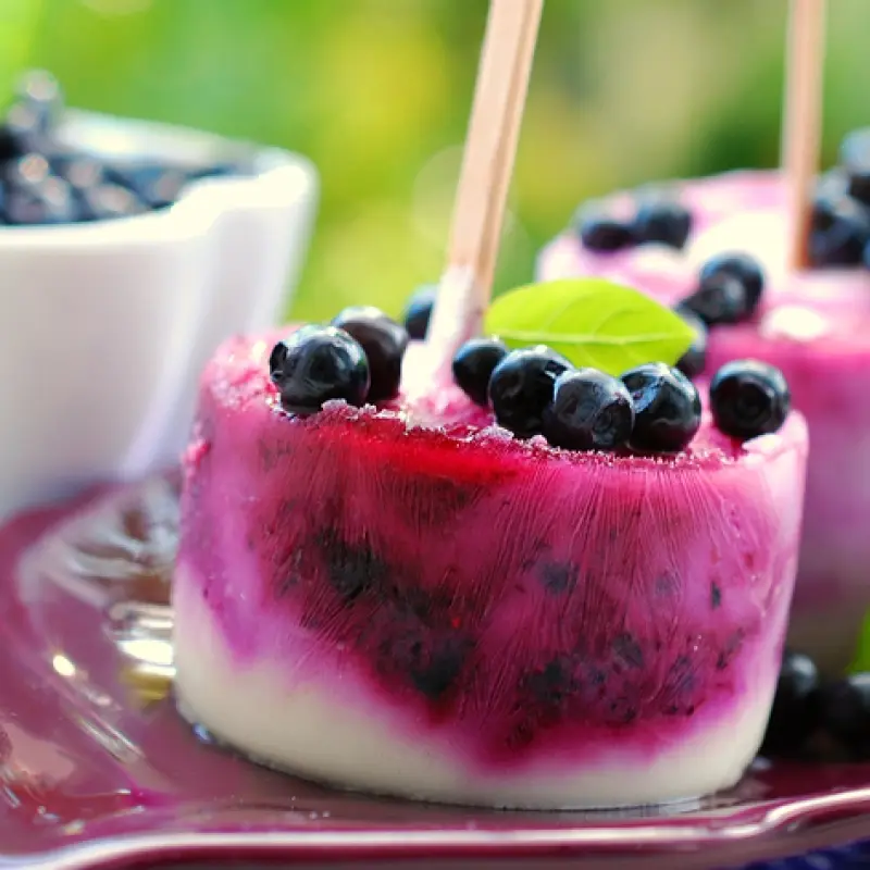 Frozen Blueberry Dessert