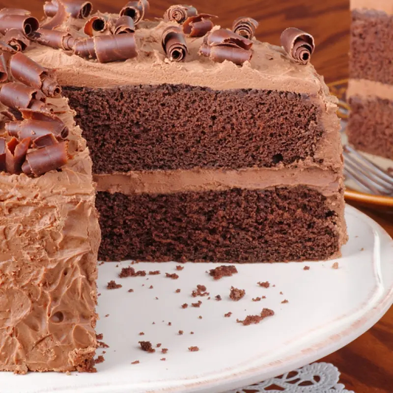 Double Chocolate Cake