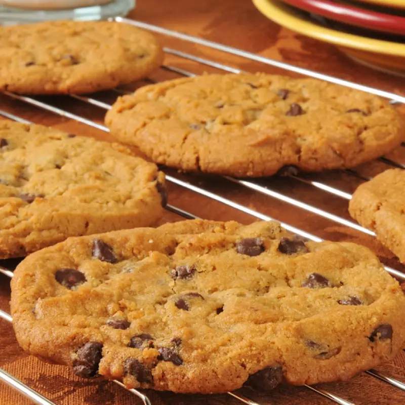 Best Chocolate Chip Cookies