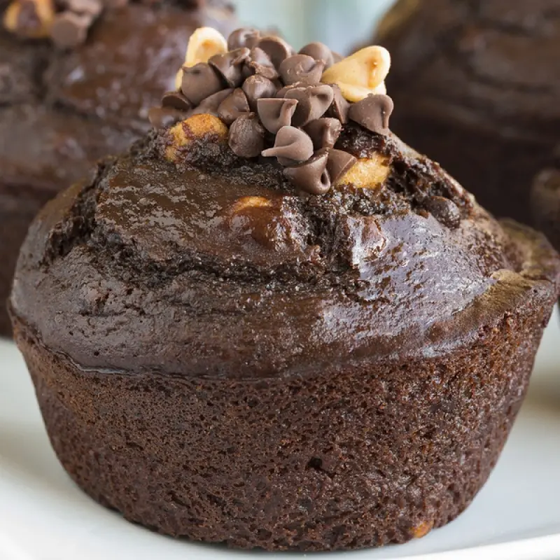 Double Chocolate Chip Muffins