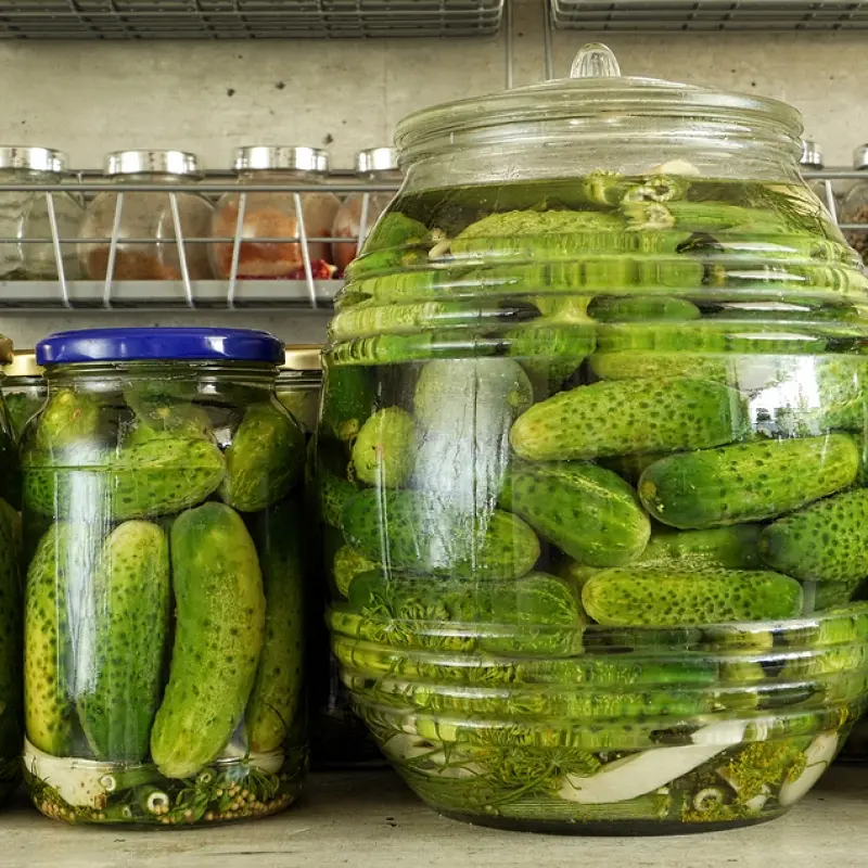 Refrigerator Dill Pickles