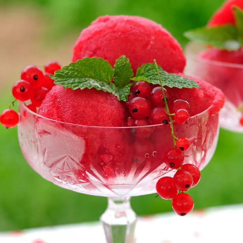 Red Currant Sorbet