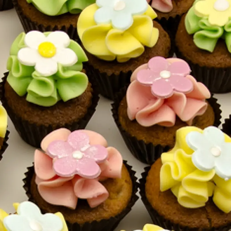 Mini Cupcakes