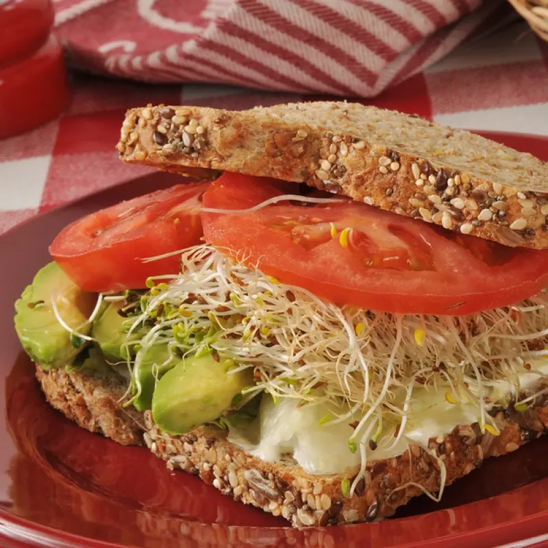 Avocado Sandwich