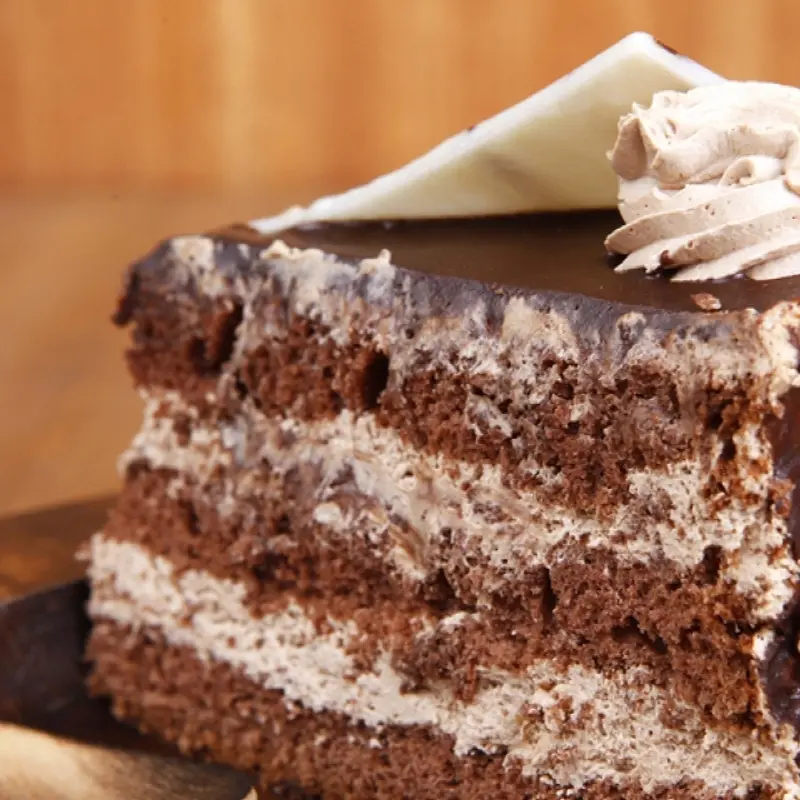 Chocolate Mousse Layer Cake