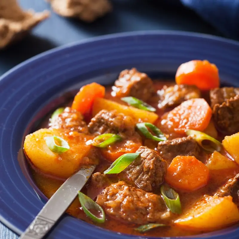 Summer Beef Stew