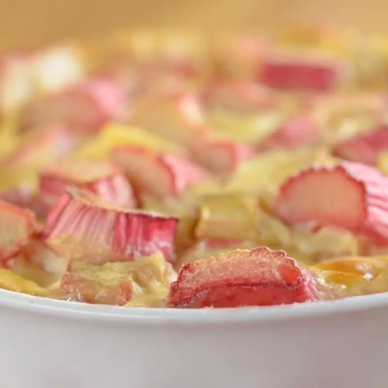 Baked Rhubarb Custard