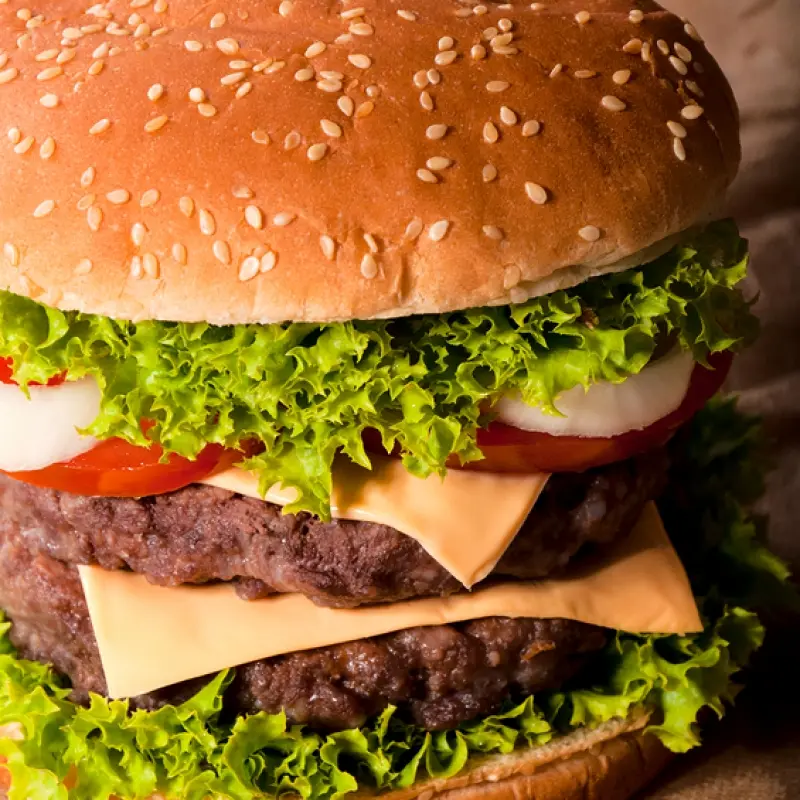 Double Cheeseburger