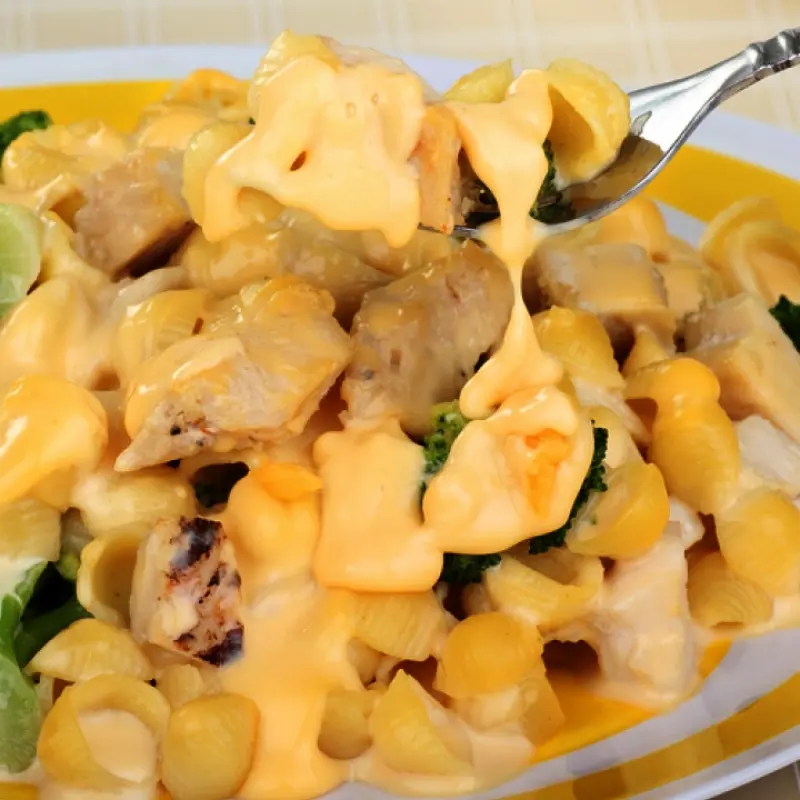 Chicken and Macaroni