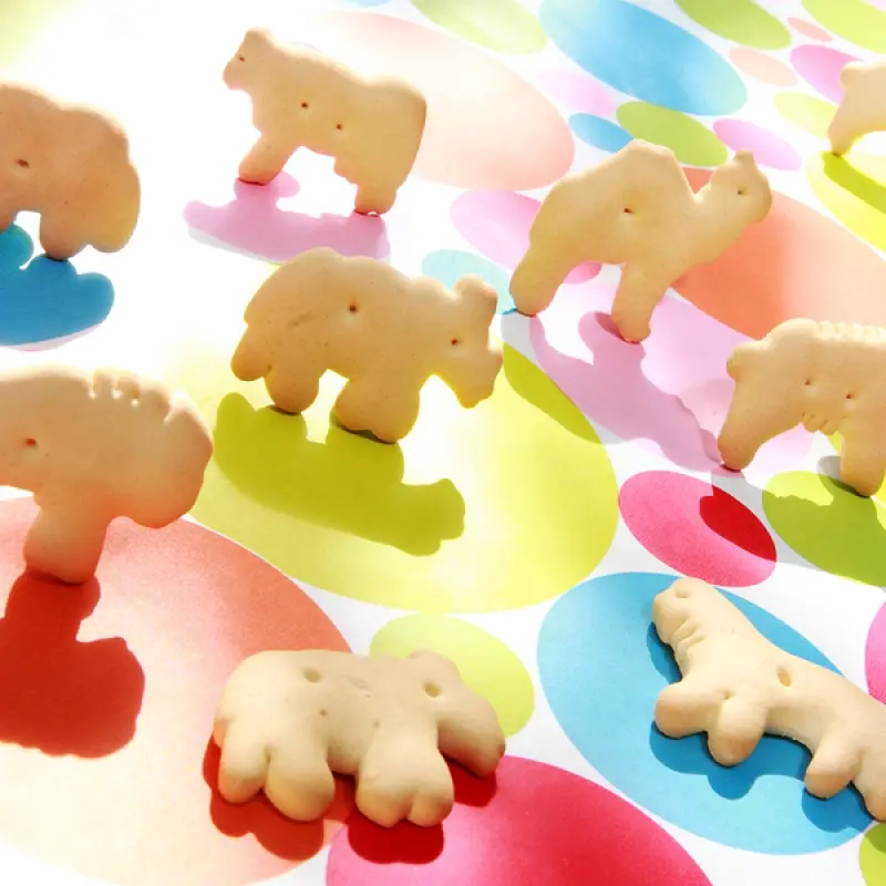 Homemade Animal Crackers