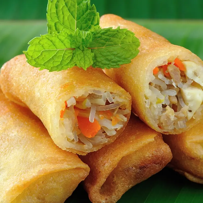 Fried Spring Rolls