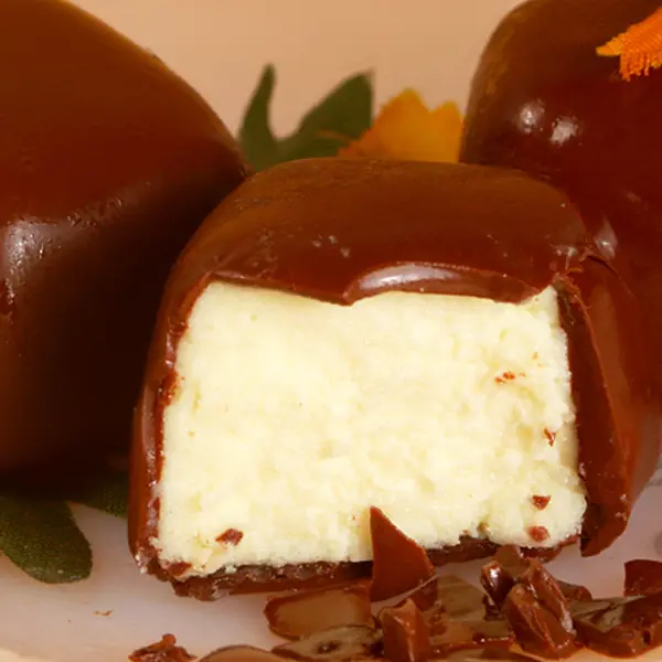Chocolate Covered Cheesecake Bites