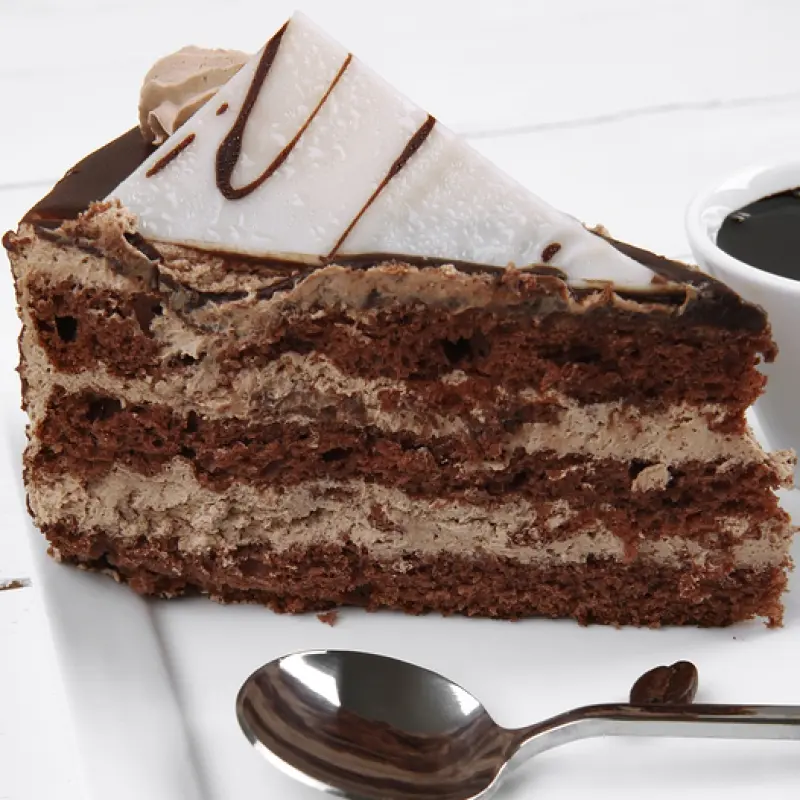 Triple Layer Chocolate Mousse Cake