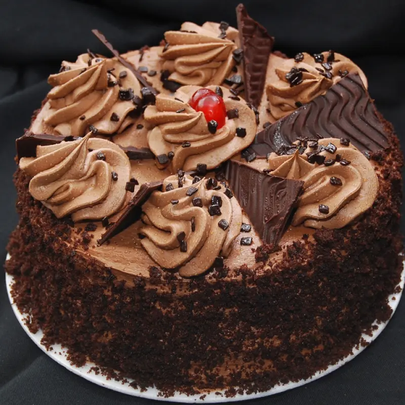 Chocolate Lovers Dream Cake