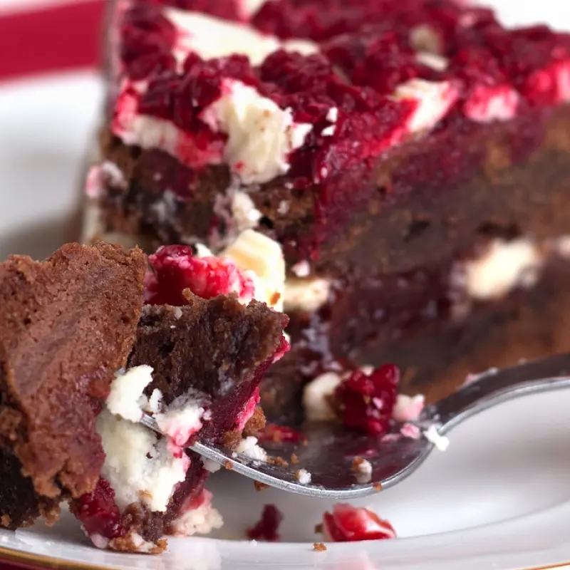 White and Dark Chocolate Chocolate Fudge Raspberry Cake