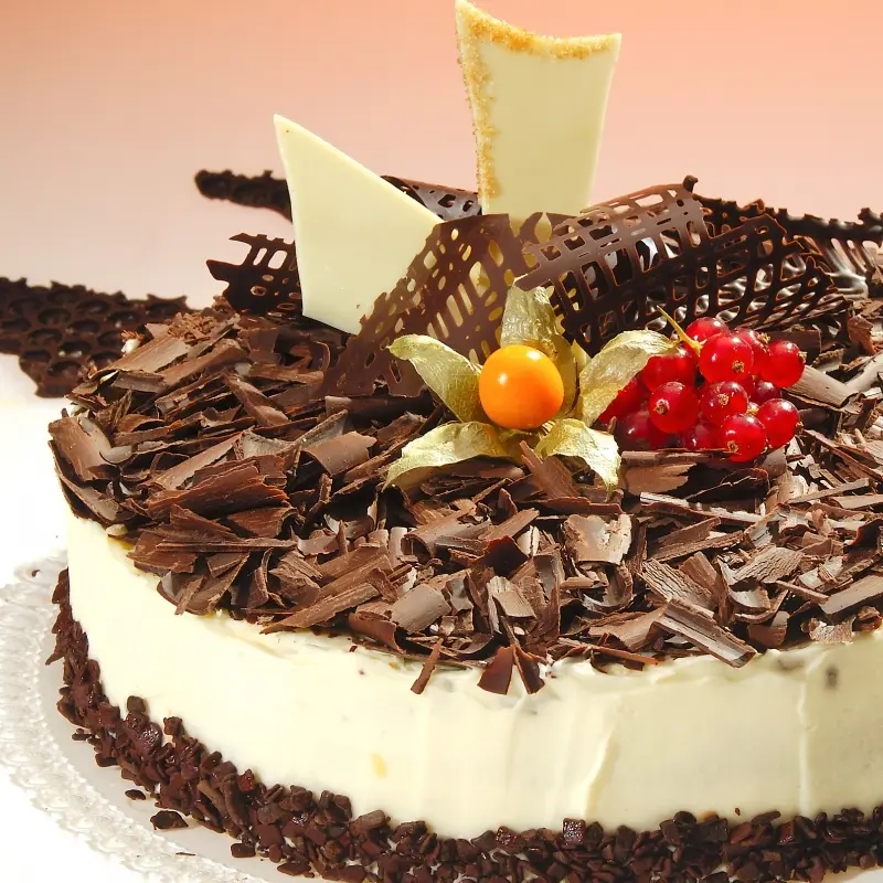 Chocolate Cake with White Chocolate Icing