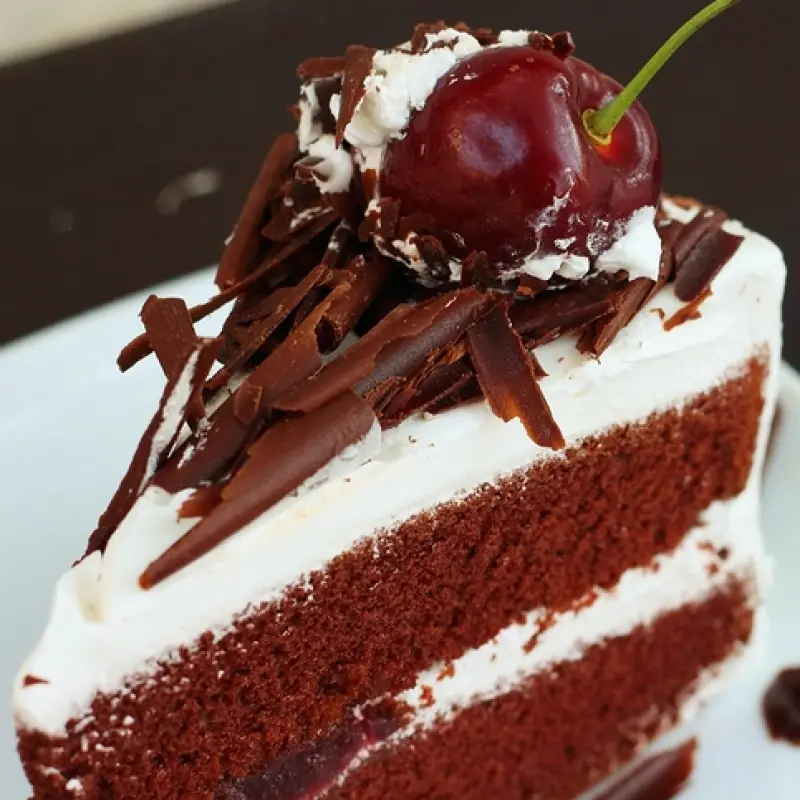 Chocolate Layer Cake With White Chocolate Frosting