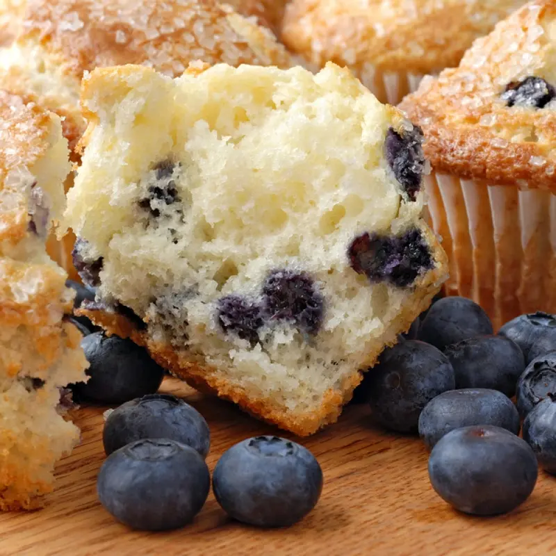 Oh So Easy Blueberry Muffin